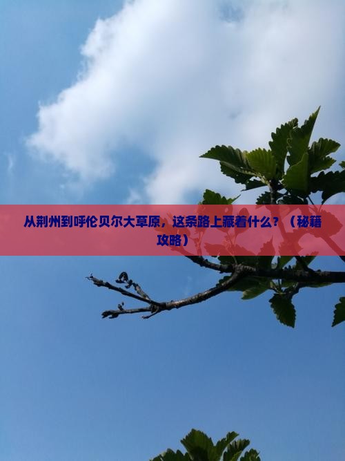 荆州到内蒙呼伦贝尔大草原必去地