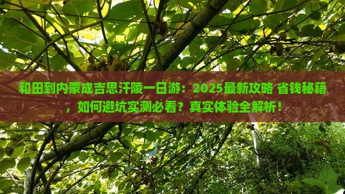 和田到内蒙成吉思汗陵一日游