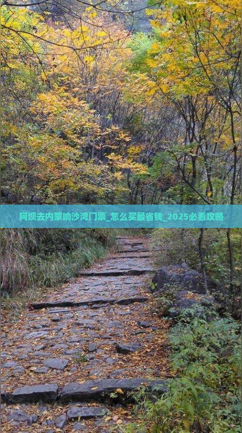 阿坝去内蒙响沙湾门票