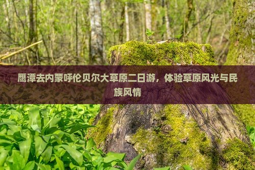 鹰潭去内蒙呼伦贝尔大草原二日游