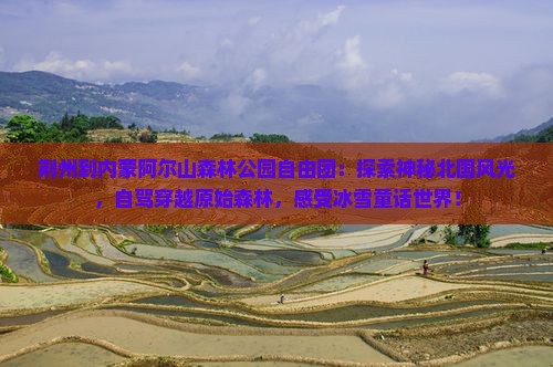 荆州到内蒙阿尔山国家森林公园自由团
