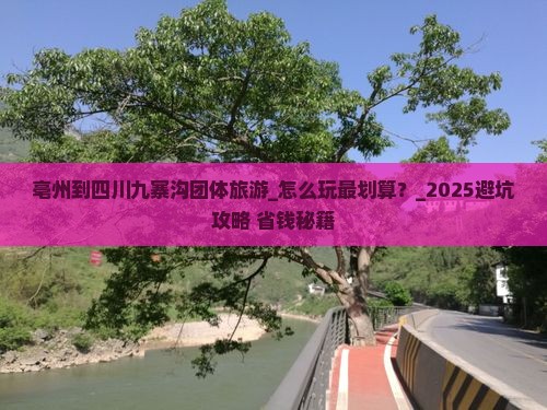 亳州到四川九寨沟团体旅游