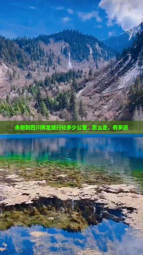 永新到四川黄龙旅行社