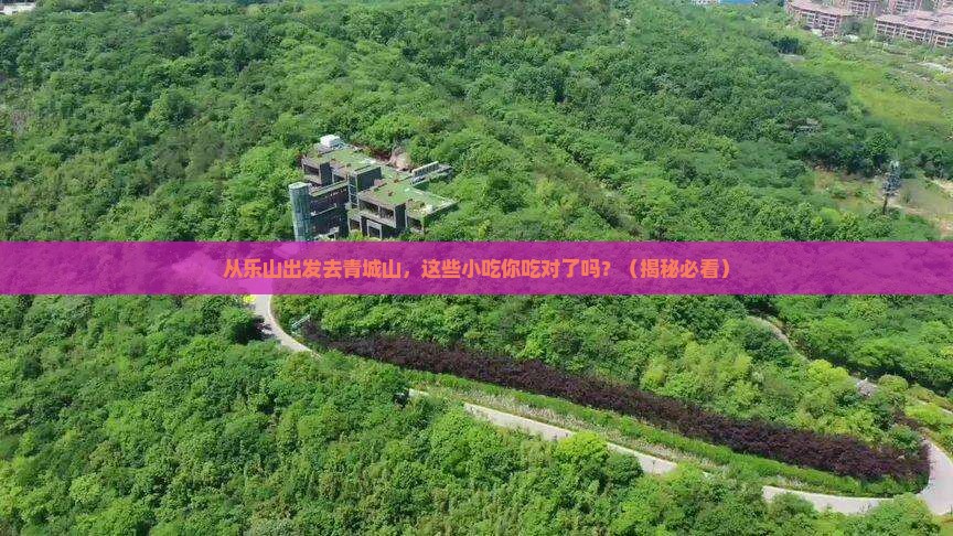 乐山去四川青城山旅游小吃