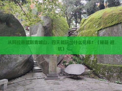 阿拉善盟到四川青城山四日游