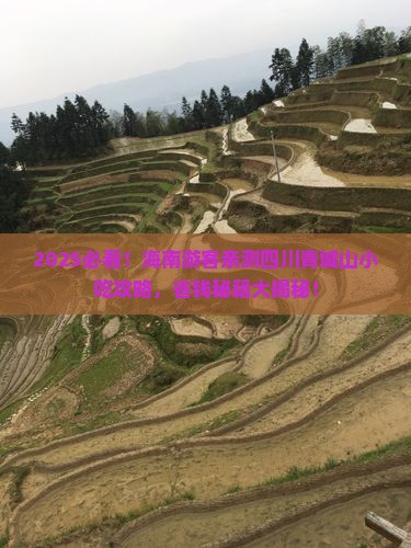 海南去四川青城山旅游小吃
