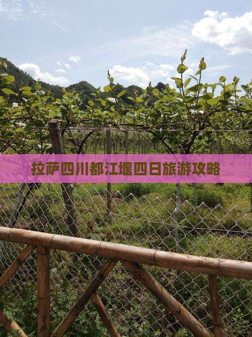 拉萨去四川都江堰四日游