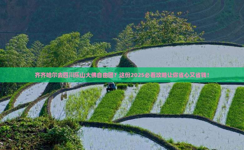 齐齐哈尔去四川乐山大佛自由团