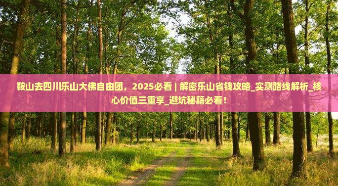 鞍山去四川乐山大佛自由团