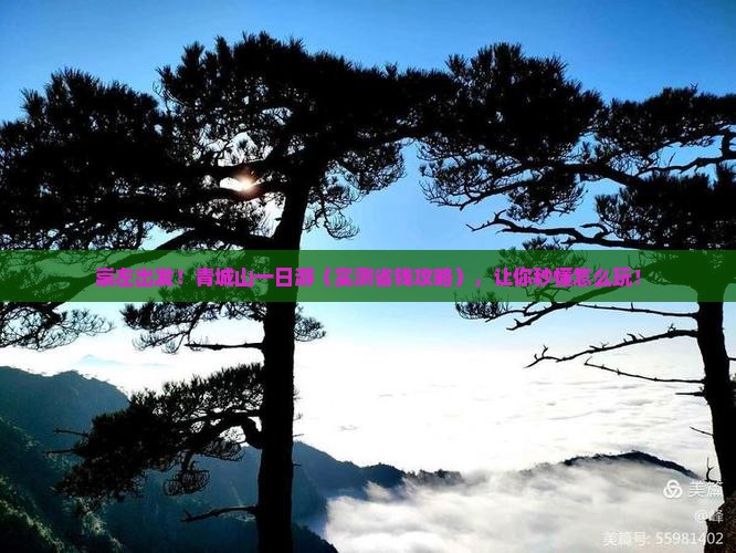 崇左去四川青城山一日