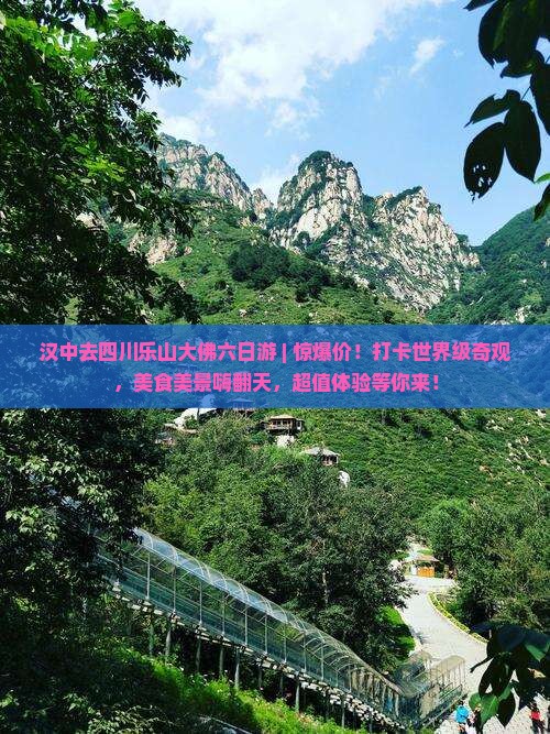汉中去四川乐山大佛六日游
