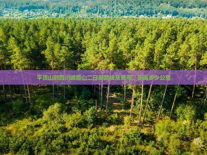 平顶山到四川峨眉山二日游