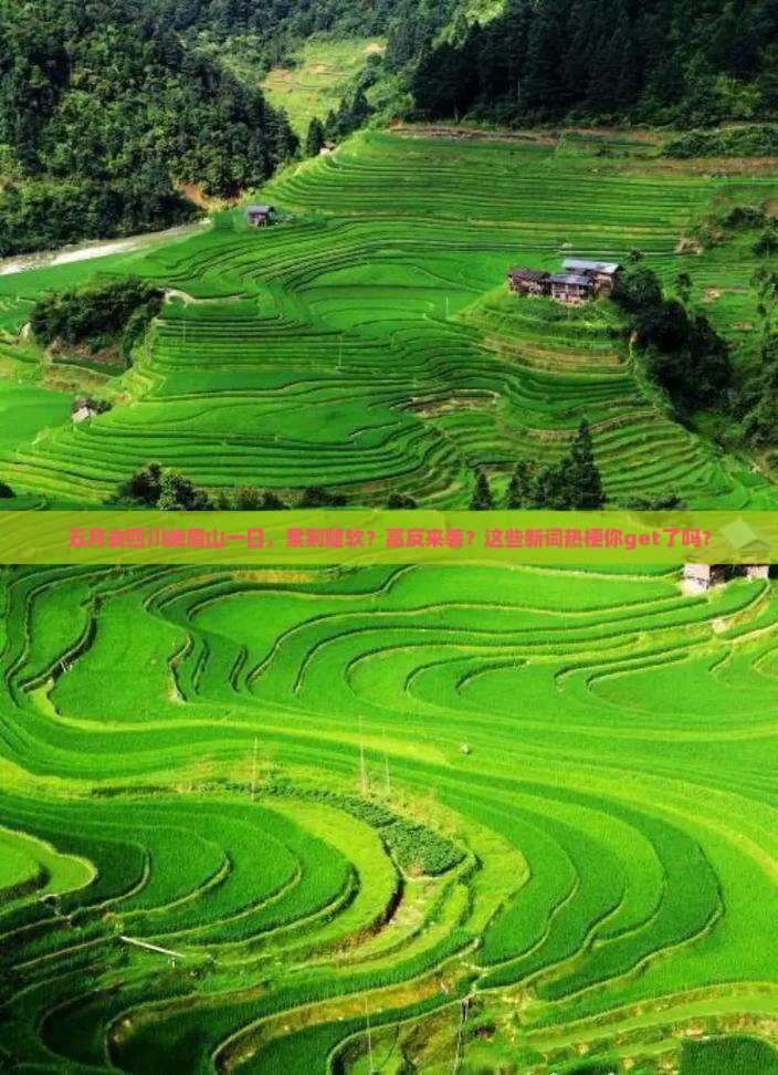 五月去四川峨眉山一日