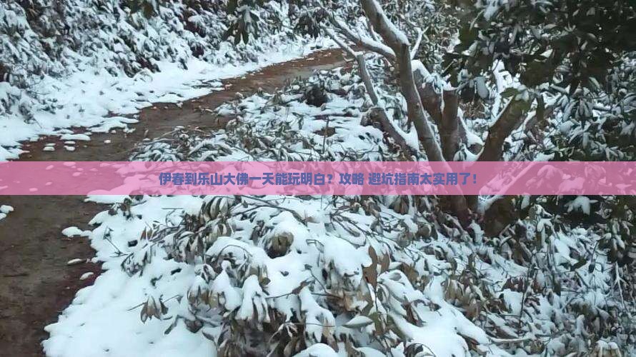 伊春到四川乐山大佛一日