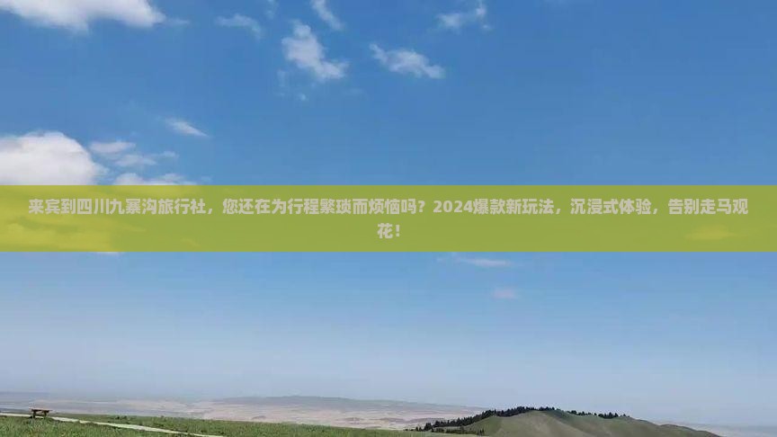 来宾到四川九寨沟旅行社