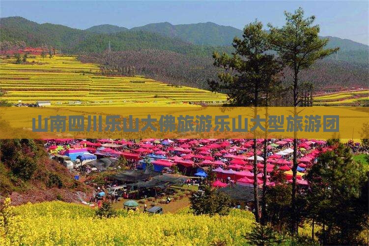 山南到四川乐山大佛大型旅游团