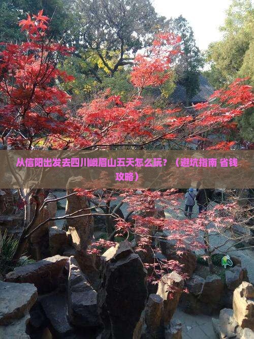 信阳去四川峨眉山五日游