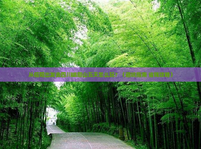 信阳去四川峨眉山五日游