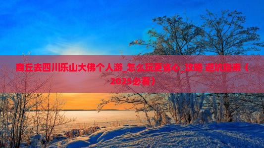 商丘去四川乐山大佛个人游