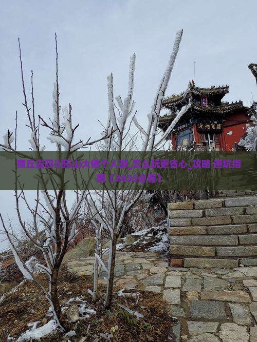商丘去四川乐山大佛个人游