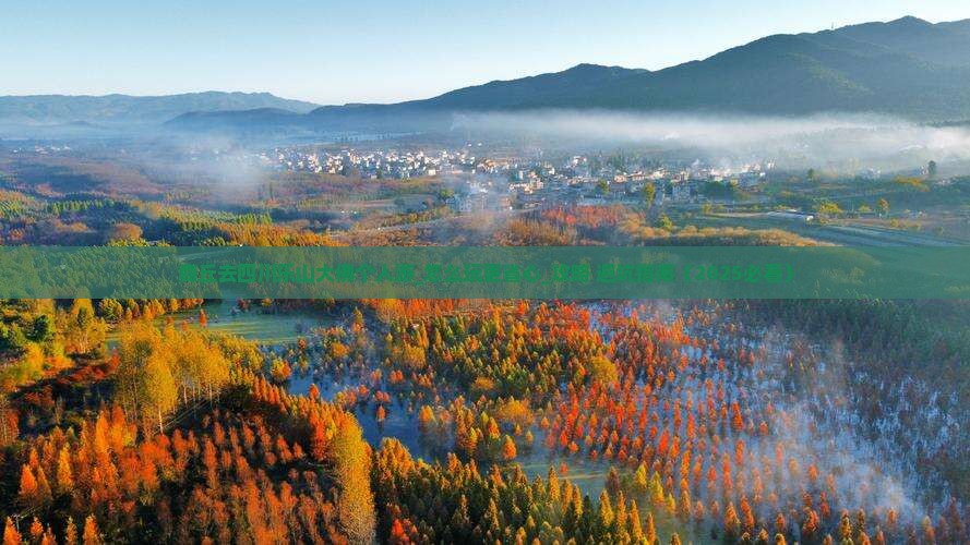 商丘去四川乐山大佛个人游