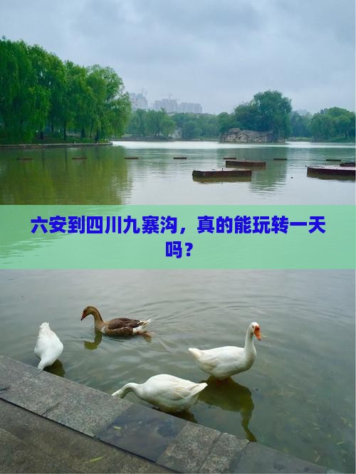 六安去四川九寨沟一日