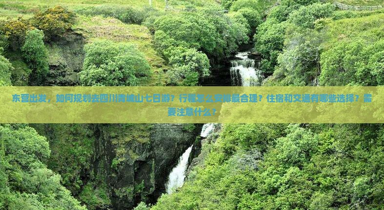 东营去四川青城山七日游