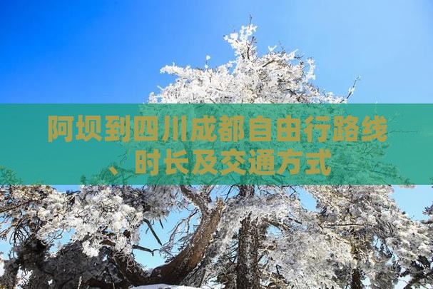 阿坝到四川成都自由行