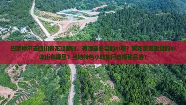 巴彦倬尔去四川黄龙旅游小吃