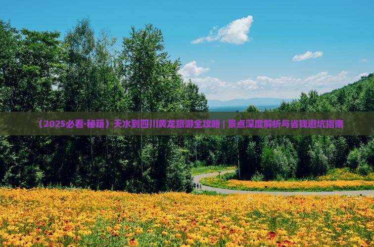 天水到四川黄龙自由团