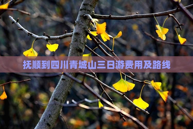 抚顺到四川青城山三日游