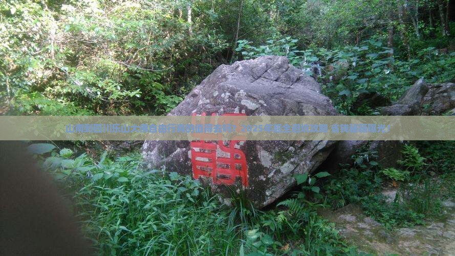 山南到四川乐山大佛自由行