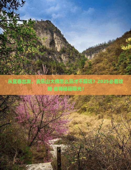 宜春到四川乐山大佛旅游