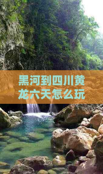 黑河到四川黄龙六日游