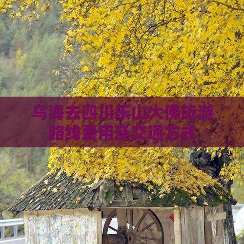 乌海去四川乐山大佛旅游