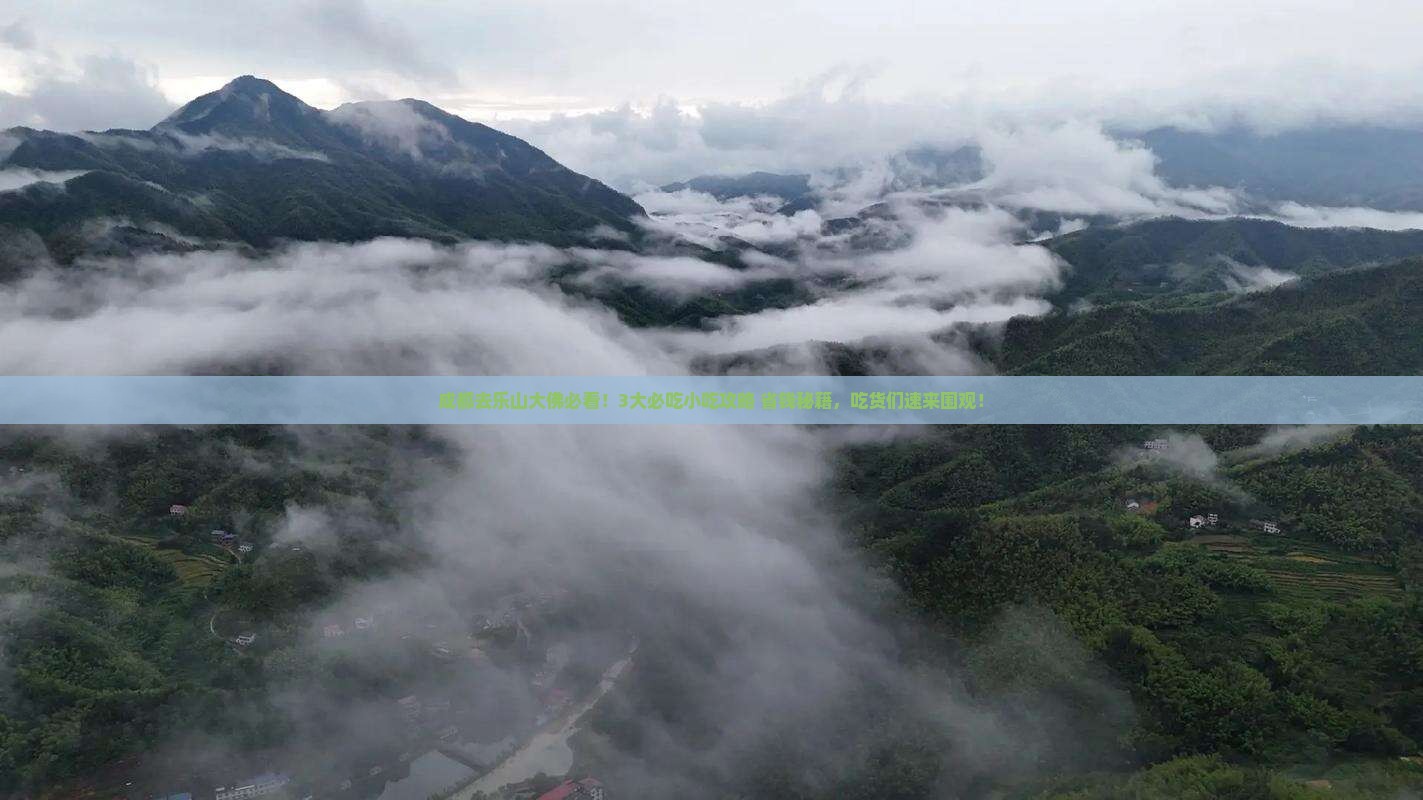 成都去四川乐山大佛旅游小吃