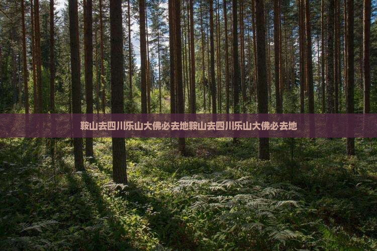 鞍山去四川乐山大佛必去地