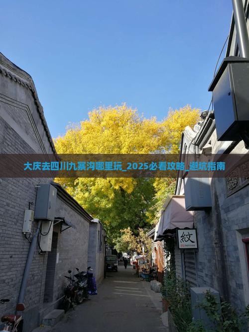 大庆去四川九寨沟哪里玩