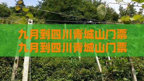 九月到四川青城山门票