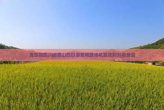 青岛到四川峨眉山四日游