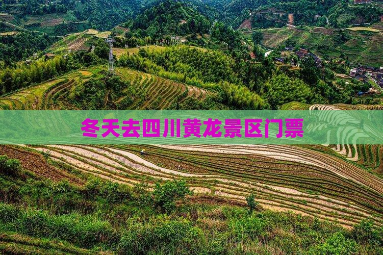 冬天去四川黄龙门票
