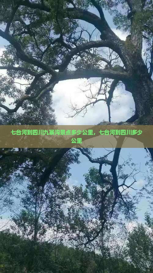 七台河到四川九寨沟景点