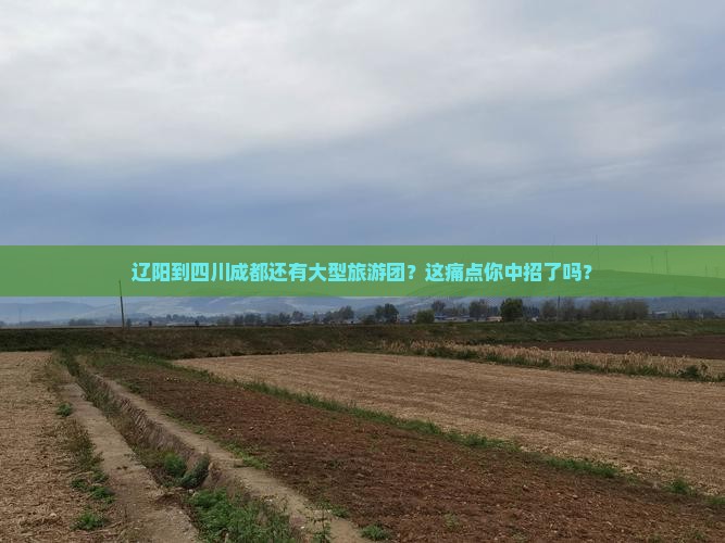 辽阳到四川成都大型旅游团