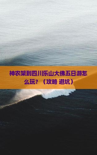 神农架到四川乐山大佛五日游