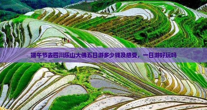 端午节去四川乐山大佛五日游
