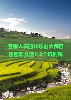 宜春去四川乐山大佛自由团