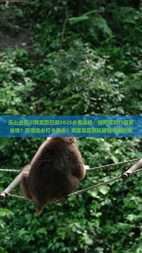 乐山去四川黄龙四日游 乐山去四川黄龙四日游