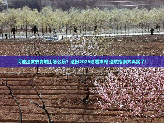 河池到四川青城山旅行社