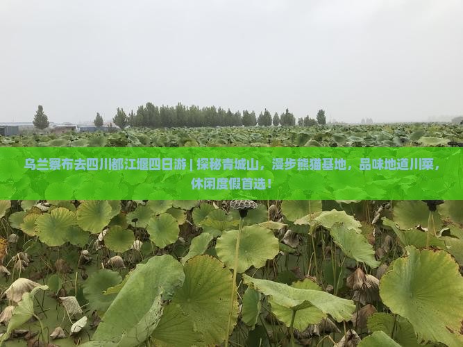 乌兰察布去四川都江堰四日游