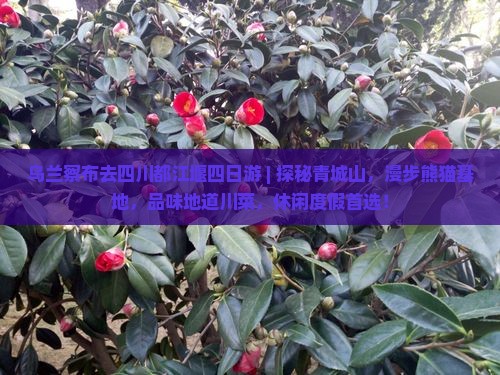 乌兰察布去四川都江堰四日游